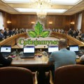 Svi se plaše prodaje srpskih šuma: Evo šta će se zapravo desiti sa Srbijašumama i drugim državnim preduzećima