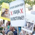 Danas je Svetski dan životinja: Zašto nememo razlog za proslavu?
