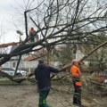 Posledice oluje u Zagrebu: Srušeno do tri hiljade stabala