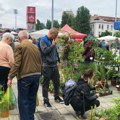 Novosadska cvetna pijaca danas otvara sezonu: mirisi i boje proleća na platou ispred Spensa