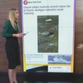 Dunav se povukao i otkrio vekovne tajne: Isplivali tragovi prošlosti, od mamuta do nacističkih brodova (video)