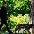 Sunčano jutro, u popodnevnim satima moguća kiša