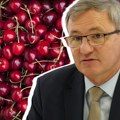 Da li će poskupeti hrana u Srbiji? Ministar otkrio cenu maline: "Ono što se desilo s trešnjom je ekstrem"