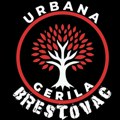 Brestovačka gerila skečom apeluje na nadležne da selo dobije ulično osvetljenje