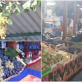 Na hiljade ljudi pohrlilo u ovaj grad, i to sve zbog – grožđa Cena voća 200 dinara, a vina od 400, pa birajte da li ćete mlado…