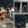 Saznajemo: Kafić u Novom Beogradu koji je izgoreo je zapaljen, na njega je bačen "Molotovljev koktel"!
