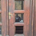 Žena polomila prozor i staklo na vratima Patrijaršije SPC, policija je identifikovala i podnela krivičnu prijavu.