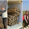 Rod useva zavisi od oprašivača, pokrenuta akcija da im se pomogne: Na njivama će nići hoteli za divlje pčele