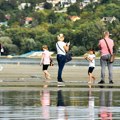 Dunav potpuno presušio, a onda se desila neverovatna scena! Srbin uzeo automobil pa prešao na Vukovarsku adu, kupači ostali u…