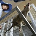 Pacovi heroji otkrivaju mine, pronalaze preživele i pomažu u borbi protiv tuberkuloze