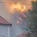 Požar većih razmera bukti između Baošića i Bijele: Vatra se brzo širi, naselja ostala bez struje (video)