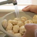 Да ли знате како се правилно чисте печурке? Ни прање, ни љуштење нису добро решење
