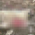 Milić otvorio vrata štale, pa zatekao horor: Zver počinila masakr nadomak Užica, meštani u strahu