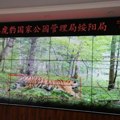 Значајан пораст броја дивљих тигрова и леопарда у националном парку у североисточној Кини