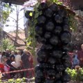 Župska berba – otvaranje „Vinske ulice", svadba i 20.000 litara posluženog vina