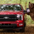 Ford angažovao medveda od 360 kg da provali u pickup