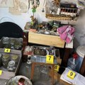 Čovek iz Plandišta u dvorištu imao plantažu marihuane: Policija mu upala na posed i sve zaplenila (foto)