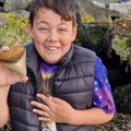 Životinje i Velika Britanija: Dečak pronašao zub megalodona, najveće ajkule koja je živela na planeti