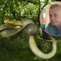 Oglasio se velja Ilić nakon što ga je ujela zmija: Otkrio šta se desilo - "Orezivao sam šljivu, stavio sam ruku na…