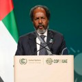 Somalija pozdravila odluku UN o ukidanju embarga na oružje toj zemlji
