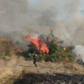 Štab iz Vlasotinca apeluje da ne palite useve, smeće i biljne ostatke na otvorenom