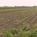 Subotički paori: Tri godine planiramo, a konkursa za podršku poljoprivredi još uvek nema