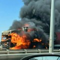 Zapalio se kamion koji prevozi bikove: Drama na auto-putu kod srpskog grada, mrežama kruži strašna fotografija