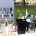 Ovog vikenda Vinski park u Sremskoj Mitrovici: Više od 70 vinarija, čaše u pretprodaji 800 dinara