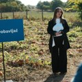 Šta znači kada je voće i povrće bez ostataka pesticida i gde se u Srbiji može kupiti