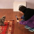 „Mjauzej“ u Teheranu: Kafe, reprodukcije, fotografije i – mačke (FOTO)