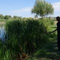 Najavljeni tretmani protiv komaraca u Kragujevcu 28. maja – apel pčelarima na oprez