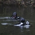 Ронилачка јединица Речне флотиле: Погледајте како кандидати пролазе најзахтевнију фазу обуке (фото)