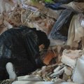 Snažni zemljotresi pogodili Venecuelu i Japan: Stručnjak za Euronews Srbija objašnjava zašto su posledice različite