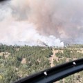Sanacija Deliblatske peščare: Ne sme da se dozvoli stihijsko pošumljavanje
