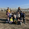 Deca uče o zelenoj energiji: Učenici iz Donjeg Neradovca posetili gradilište solarne elektrane
