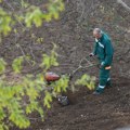 Uređenje blokovskog zelenila u Knjaževačkoj