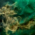 Misteriozne pojave na dnu mora: Stvaraju smrtonosni ekosistem?