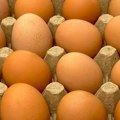 Ova jaja se hitno povlače sa tržišta: pronađena opasna bakterija