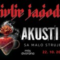 Divlje jagode prvi put u akustičnoj verziji u mts Dvorani 22. oktobra