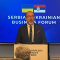 Čižikov: Velike mogućnosti za ekonomsku sarardnju Srbije i Ukrajine