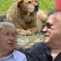Tužna scena ispred Halidovog motela! Porodični pas zavija na dan Sejdine sahrane, leži nepomično