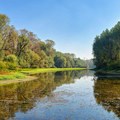 Skrivena močvara Srbije na samo sat vremena od Beograda: Oaza mira u Vojvodini, nudi nezaboravnu avanturu