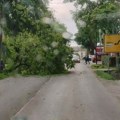 Olujni vetar ruši drveće u Srbiji: Snažno nevreme nas tek očekuje (Foto)
