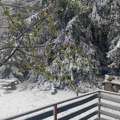 Zabelela se Srbija u maju FOTO/VIDEO
