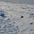 Objavljena evakuacija na Aljasci