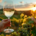 Treći Pančevo Wine Weekend 12. i 13. juna u Narodnoj bašti: Više od 40 vinarija iz cele Srbije, gastronomija i dobra muzika