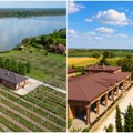 Vino se najbolje upoznaje tamo gde nastaje: Vinarija Milanović razvija vinski turizam u Surduku