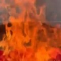 (Video): Trampove pristalice su toliko frustrirane i besne na njega da pale crvene MAGA kačkete: Ovo bi moglo da ga uništi