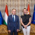 Macura sa ambasadorom Mađarske o porodičnim politikama i zajedničkim inicijativama