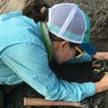 Otkriće koje menja istoriju: Dinosaurusi su hodali Zemljom neposredno neposredno pre udara asteroida